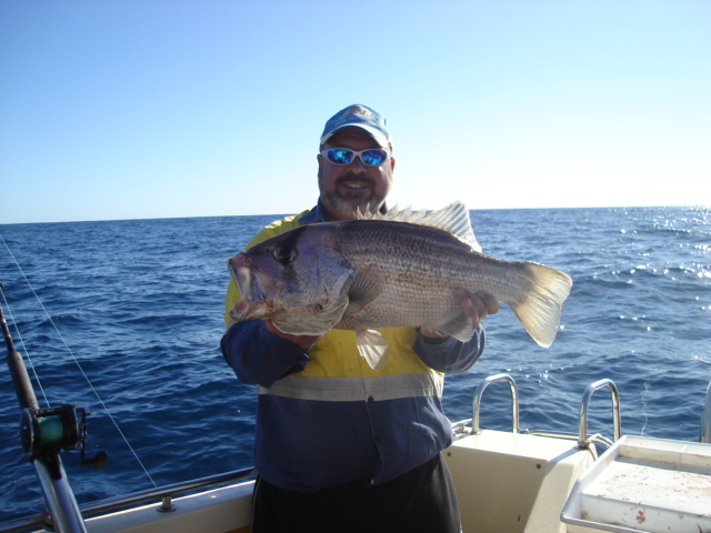 Yesty's catch off Bunno Yesty's catch off Bunno